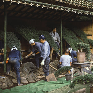 Peón de jardinería - EducaCursos