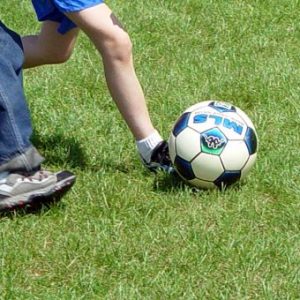 Monitor en educación física: evolución y currículo - EducaCursos