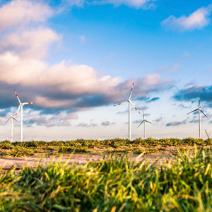 Monitor de educación ambiental - EducaCursos