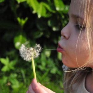 Juegos de lengua para educación especial - EducaCursos
