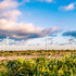 Monitor de educación ambiental - EducaCursos