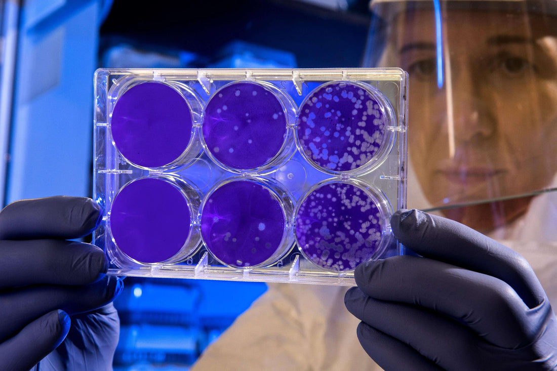 Coronavirus (Covid-19) Pandemias globales y sus fases - EducaCursos