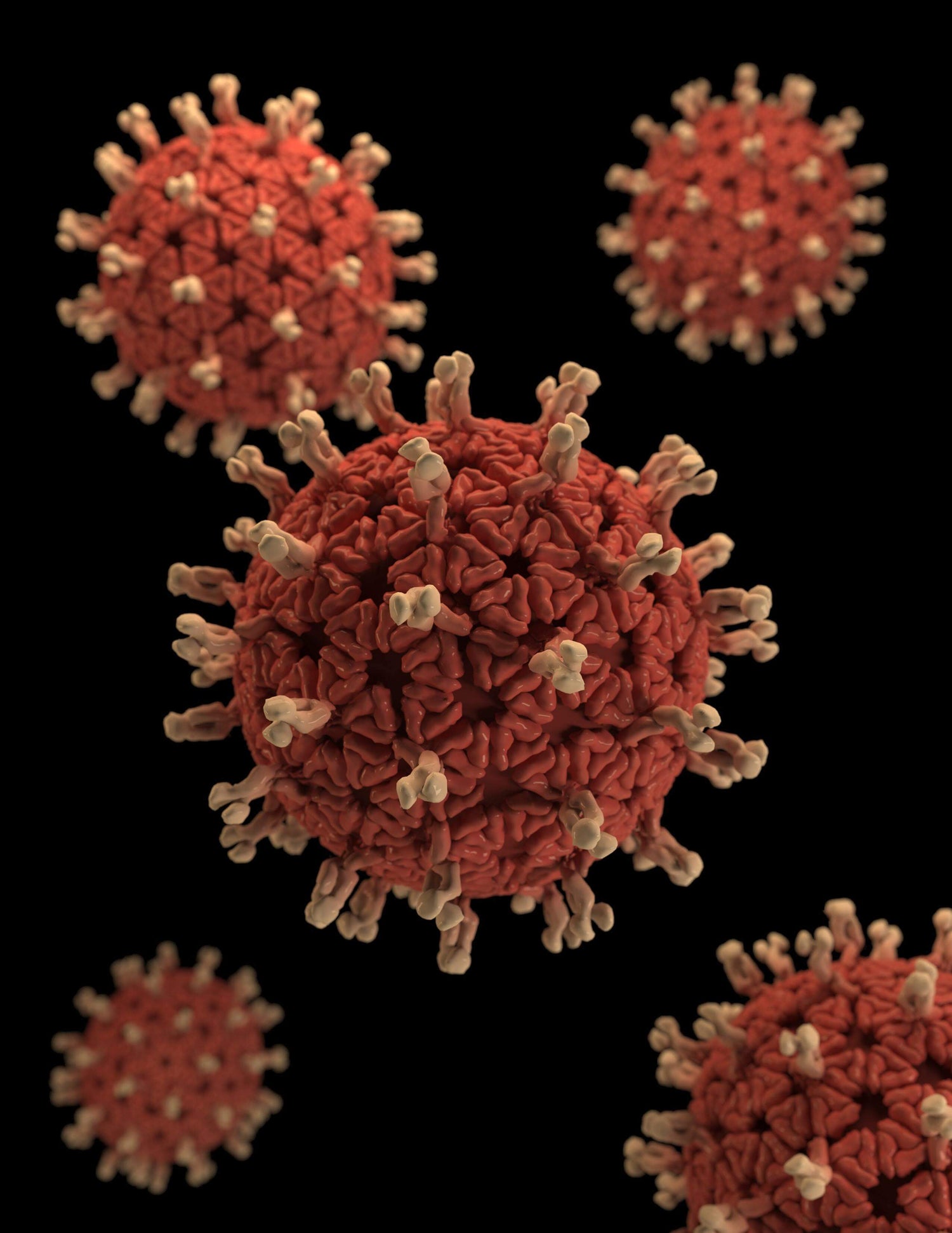 Estudio de las Infecciones respiratorias Virales - EducaCursos