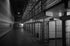Psicología Penitenciaria - EducaCursos